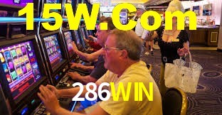 Programa VIP 286WIN